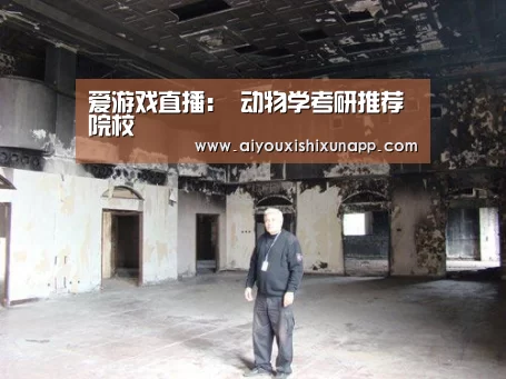 爱游戏竞猜