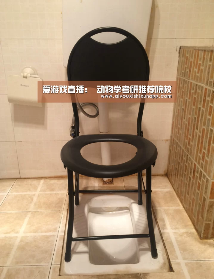 爱游戏视讯