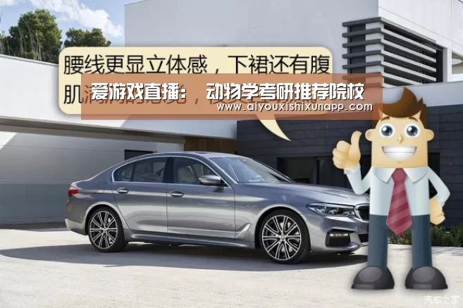 爱游戏直播