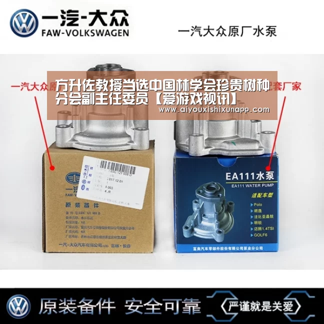 方升佐教授当选中国林学会珍贵树种分会副主任委员【爱游戏视讯】(图1) 爱游戏视讯