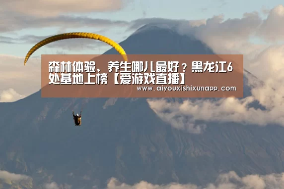 爱游戏直播