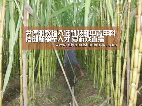 尹佟明教授入选科技部中青年科技创新领军人才|爱游戏直播(图2) 爱游戏直播