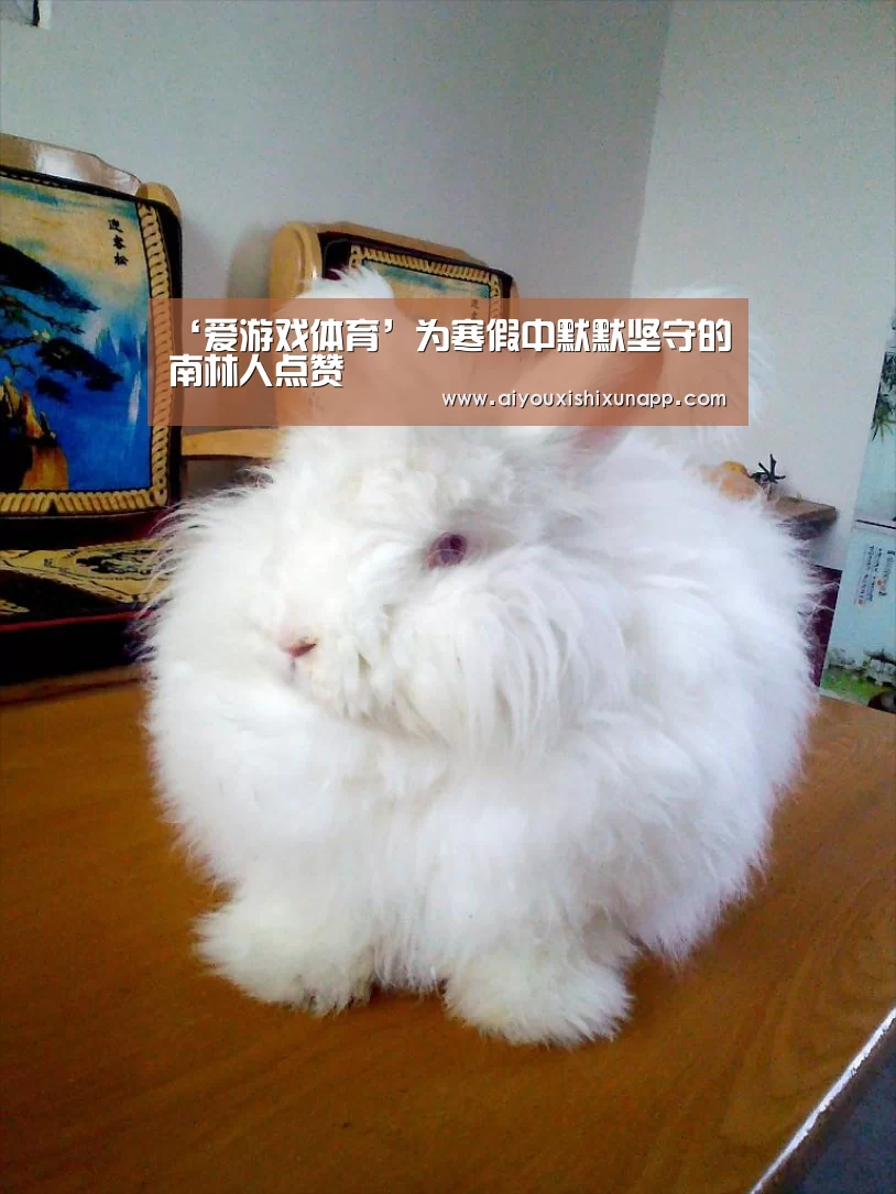 ‘爱游戏体育’为寒假中默默坚守的南林人点赞(图3) 爱游戏体育