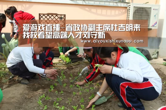 爱游戏体育