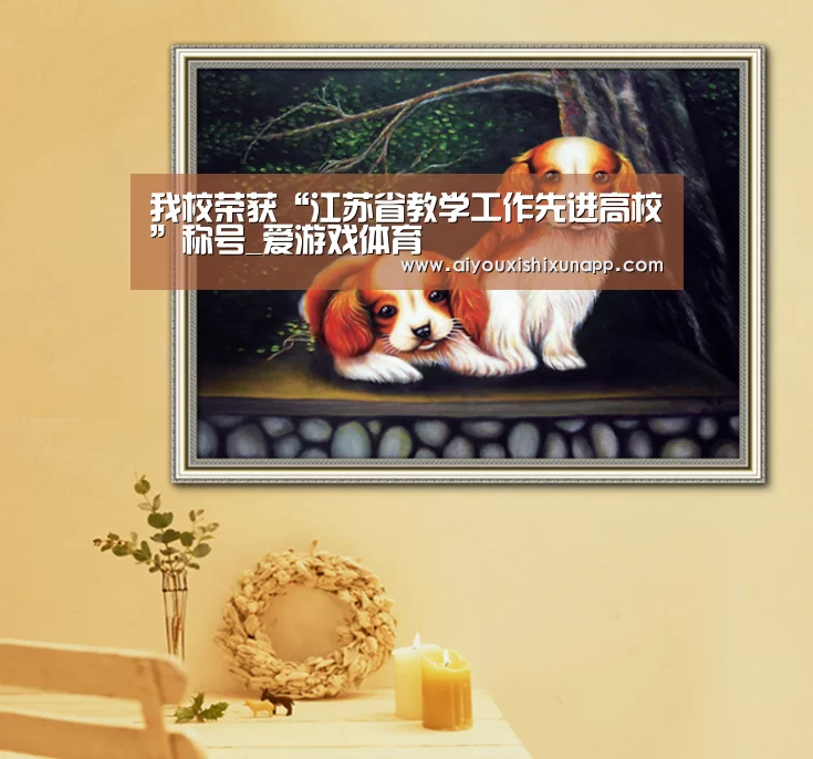我校荣获“江苏省教学工作先进高校”称号_爱游戏体育(图2) 爱游戏体育