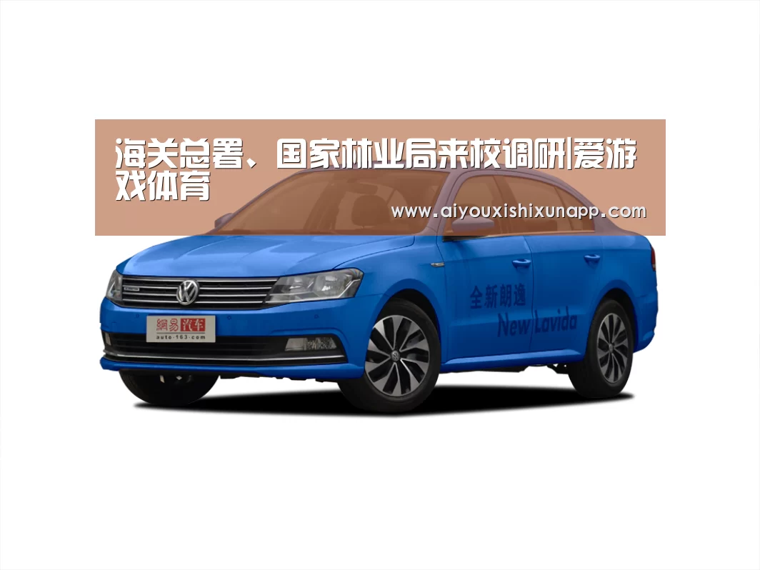 爱游戏视讯