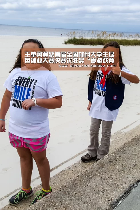 爱游戏视讯