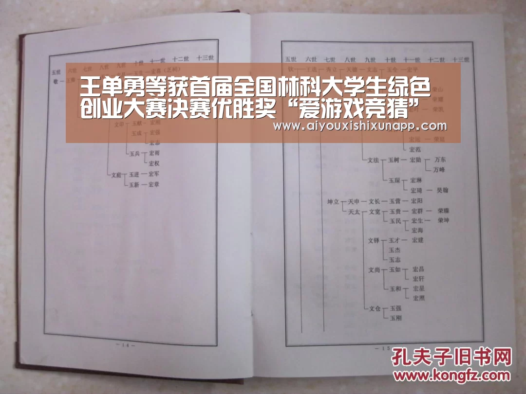 爱游戏视讯